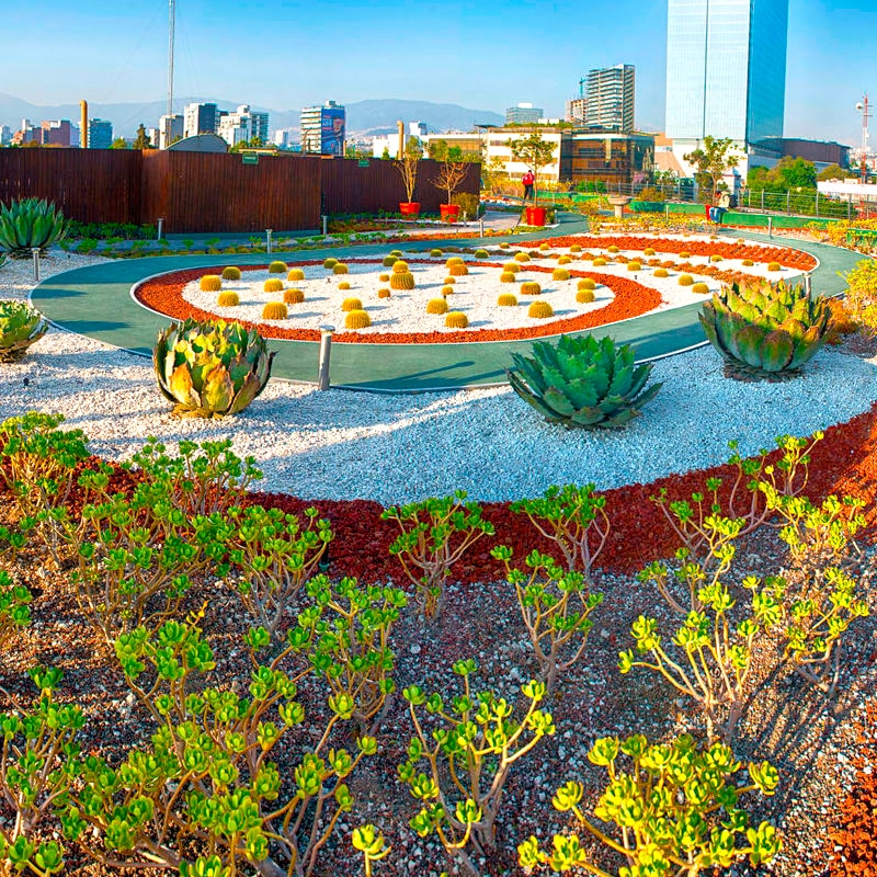 Azotea Verde Infonavit