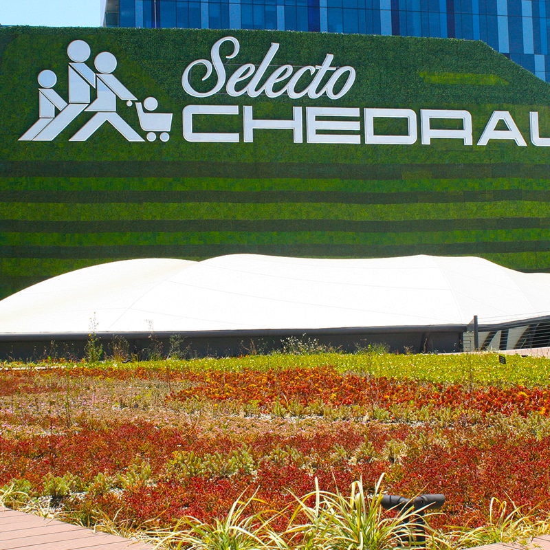 Sistema de Riego Chedraui